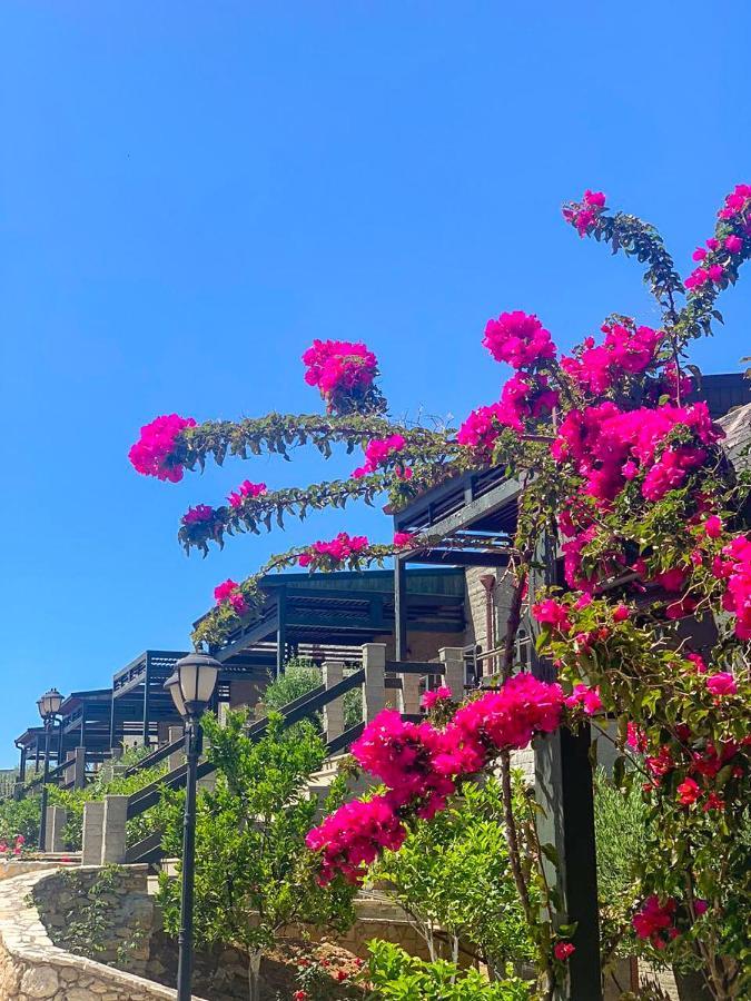 Aqua Holiday Apartments Vlorë 外观 照片